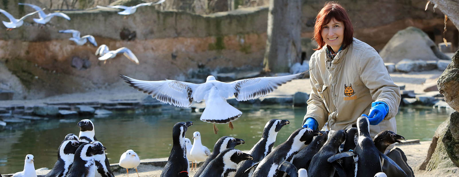 Ausbildung im Magdeburger Zoo