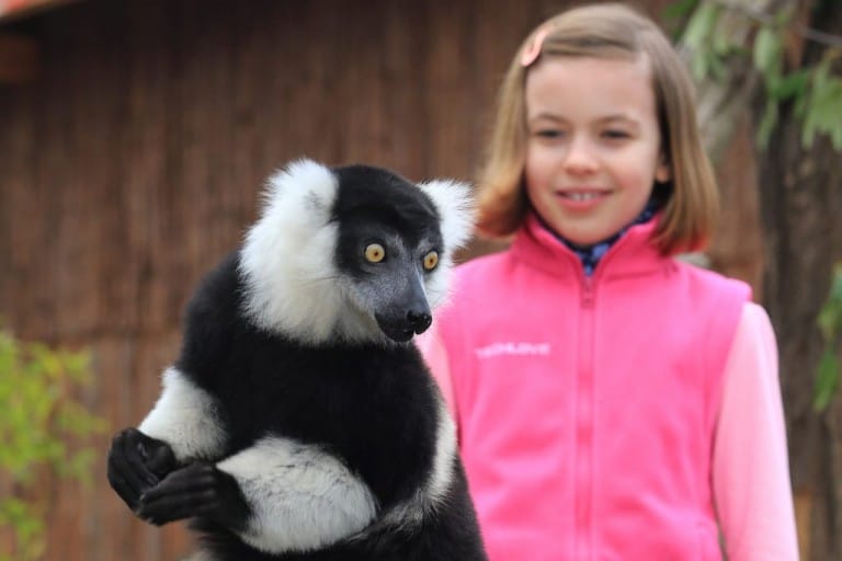 Tiere Zoologischer Garten Magdeburg