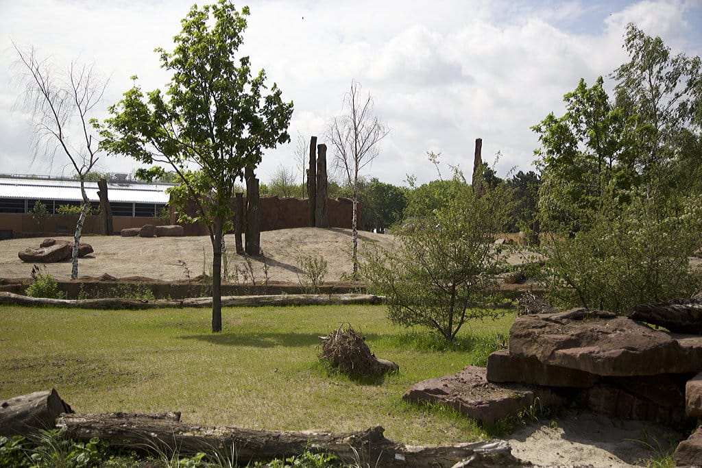 Elefantenanlage 3 Zoo Magdeburg