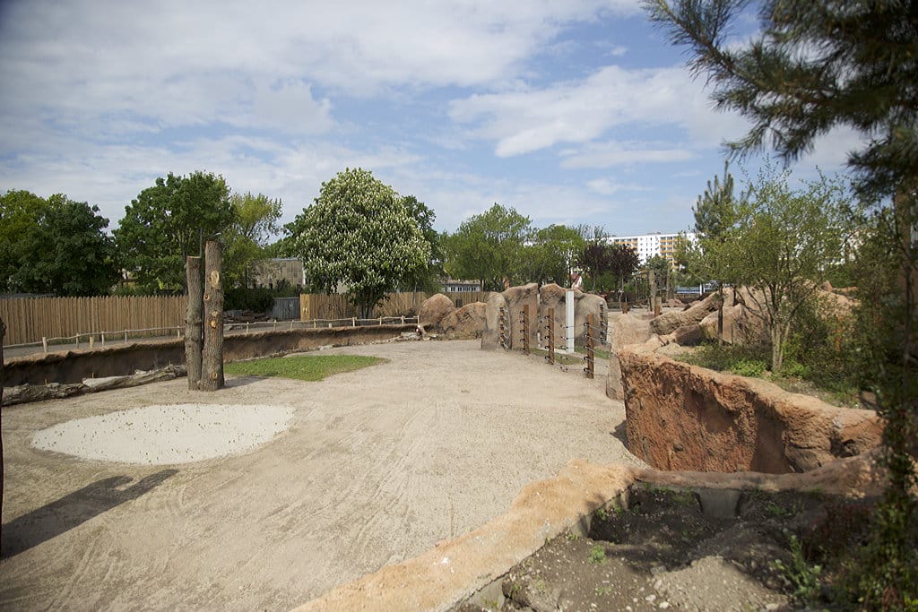 Elefantenanlage 4 Zoo Magdeburg