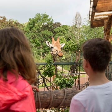 Giraffenhaus 5