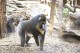 Mandrillhaus 4 Zoo Magdeburg