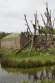 Schimpansenhaus 5 Zoo Magdeburg