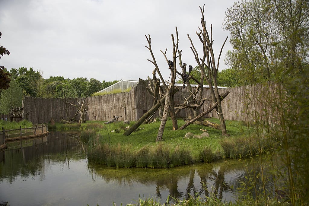 Schimpansenhaus 5 Zoo Magdeburg