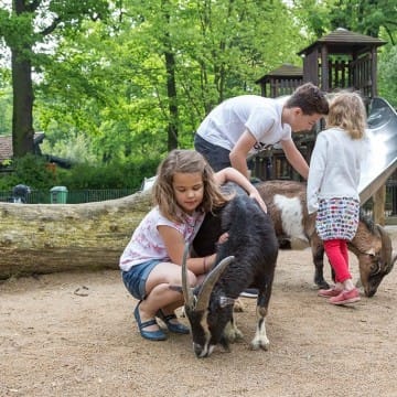begehbare Tieranlage 1