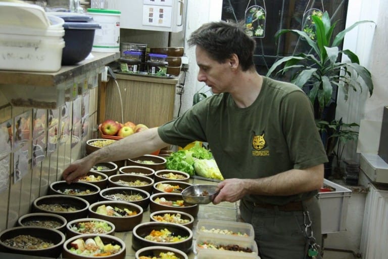 Fütterung Vogelhaus