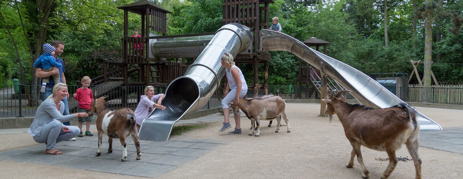 Unser Streichelgehege auf dem Spielplatz