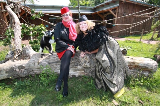 Theater im Zoo - Hennys erotisches Tierleben