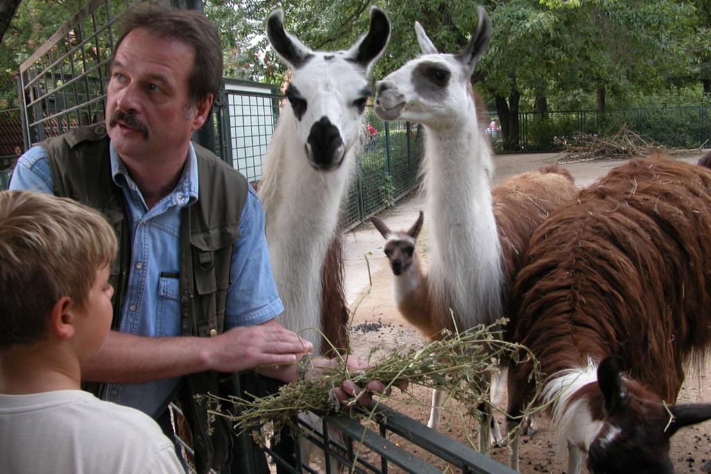 Besuch beim Lama