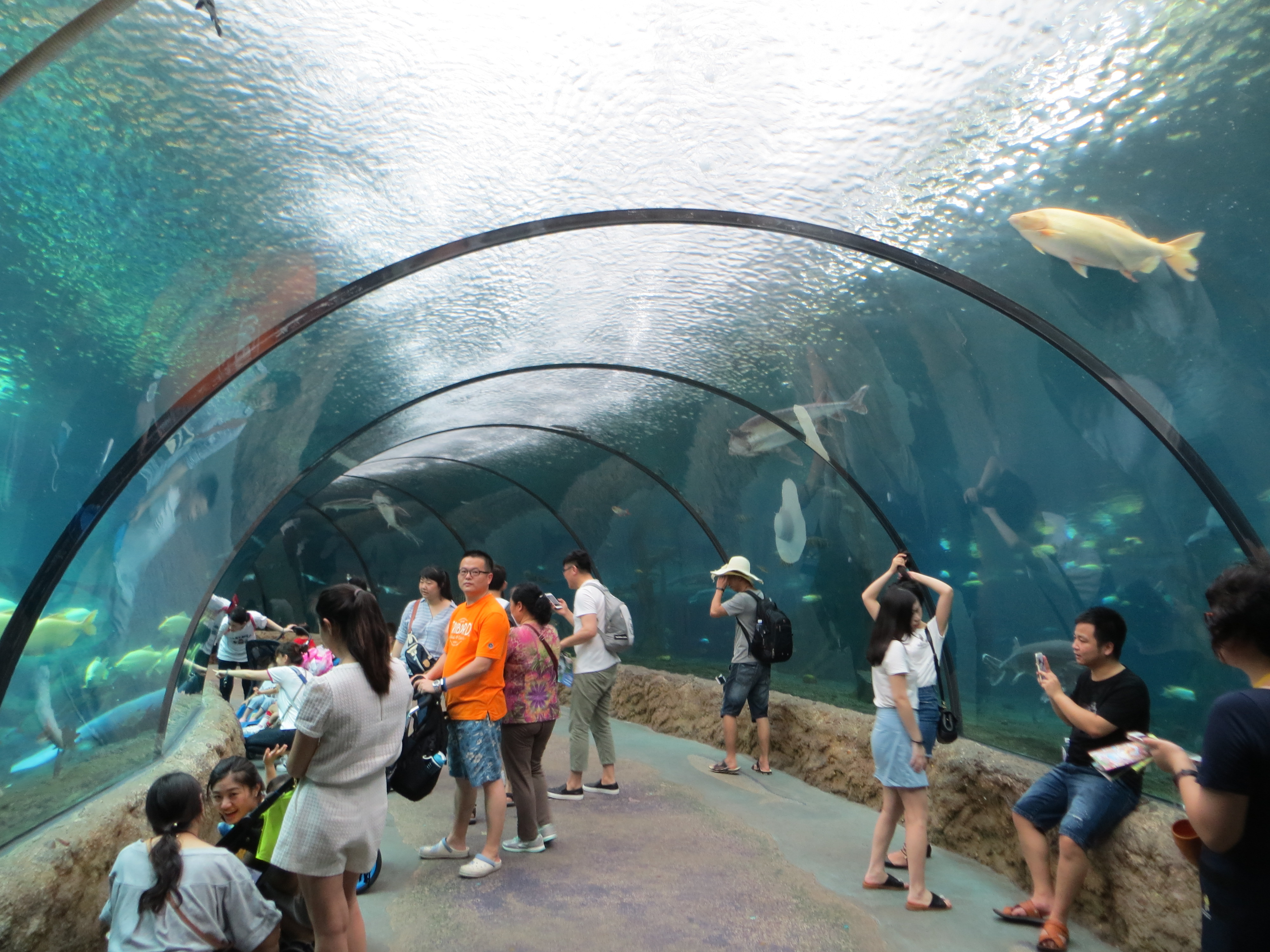 33+ Best Vorrat Zoologischer Garten Berlin Aquarium - The Okinawa