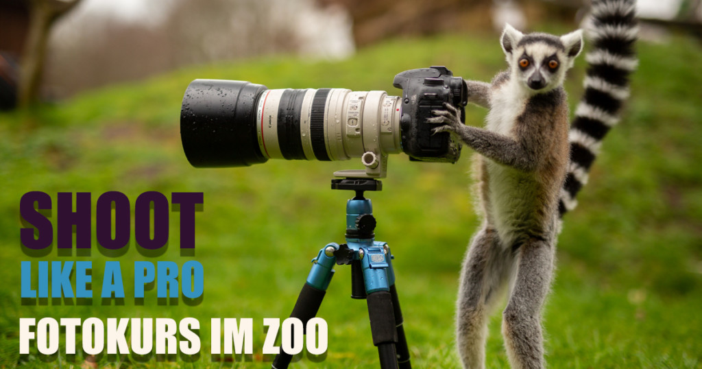 Fotokurs mit Kai Malter