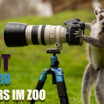 Fotoworkshop mit Tierfilmer Kai Malter