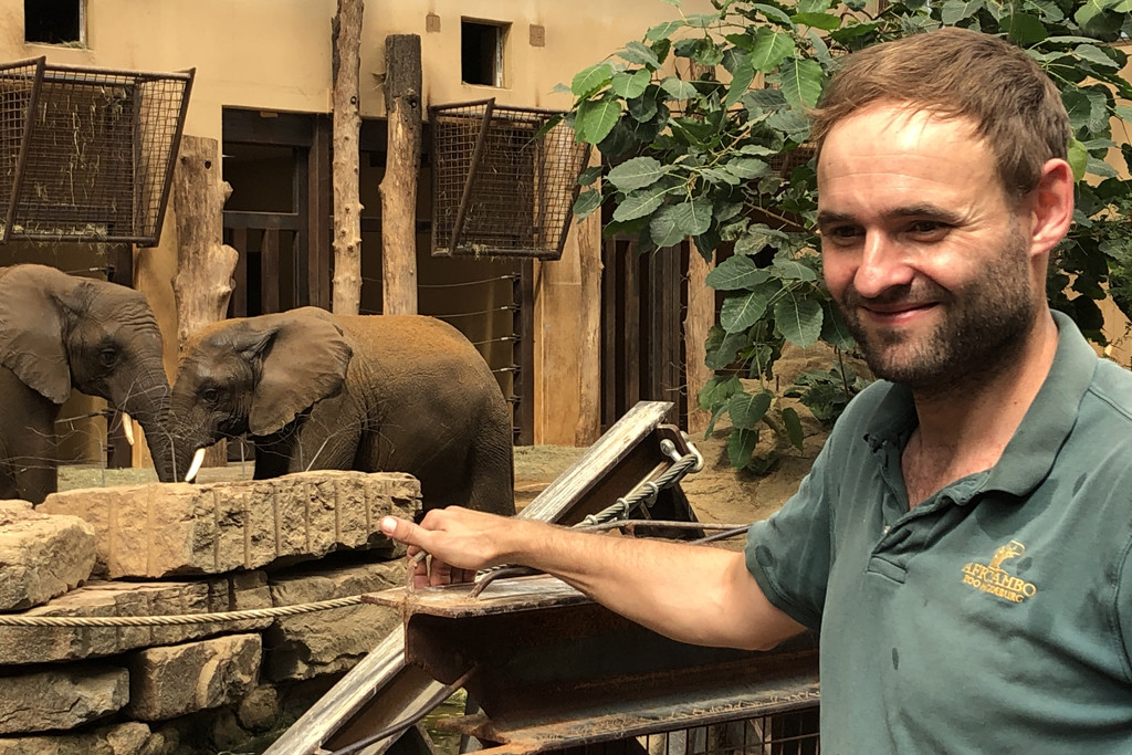 Stefan Gluch pflegt die Afrikanischen Elefanten_Zoo Magdeburg 