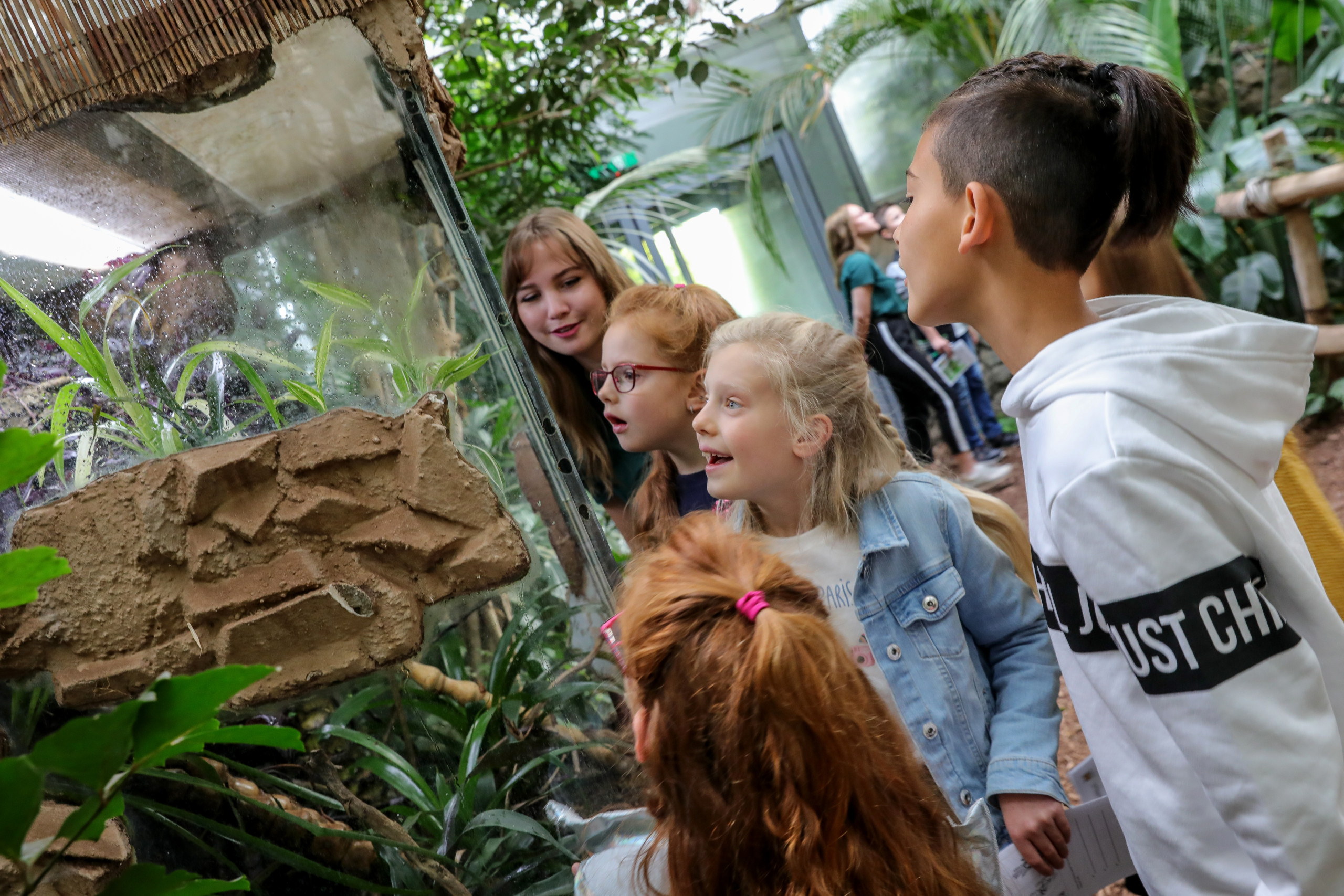 Sommerferienprogramm Zoologischer Garten Magdeburg