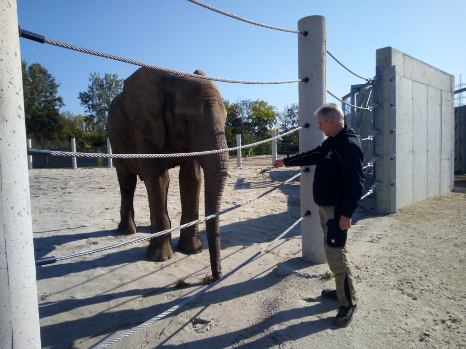 Eingewöhnung in Györ: Rungwe mit Magdeburger Spezialtierpfleger Michael Banse_Zoo Magdeburg 