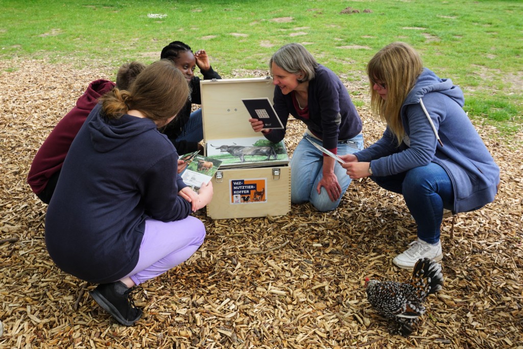 Vdz Nutztierkoffer im Einsatz (c) Tierpark Arche Warder