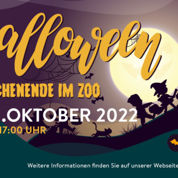 Tierische Halloween-Tage im Zoo vom 29.10.-31.10.2022