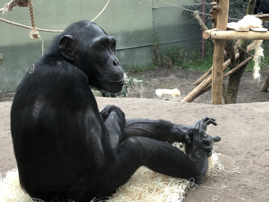 Erkundung der Innenanlage_Zoo Magdeburg