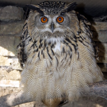 Neue Öffnungszeit: 9 Uhr bis 16 Uhr