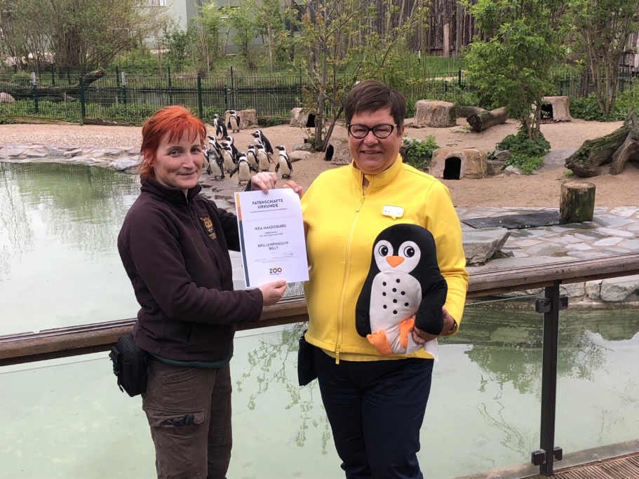 Annett Schwabe/Zoo-Revierleiterin übergibt die Patenschaftsurkunde an Katrin Franke/IKEA Niederlassung Magdeburg_Karla Gonnermann