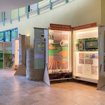 Feldhamster-Ausstellung in der Zoowelle