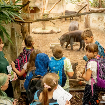 3. Mai 2024: Vortrag Umweltbildung im Zoo