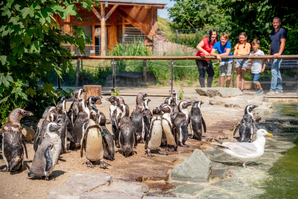 Internationaler Tag des Naturschutzes Zoo Magdeburg© www.AndreasLander.de