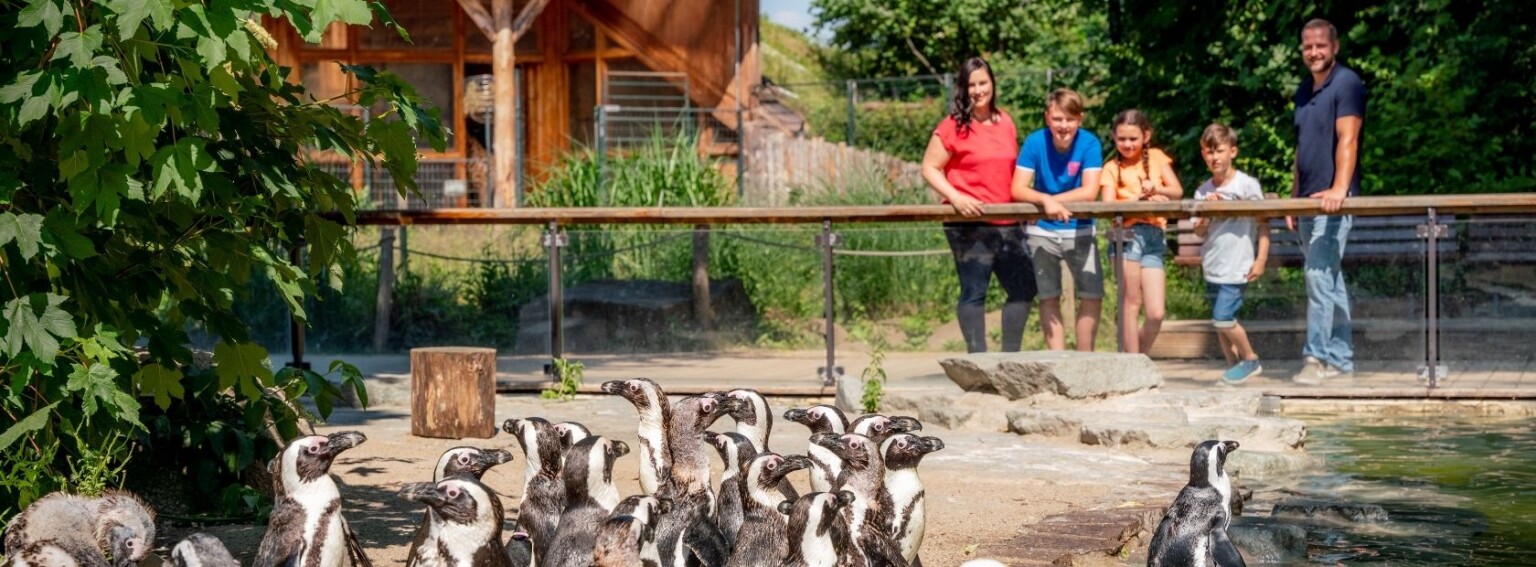 36+ Ullrich Zoologischer Garten Öffnungszeiten, 25, 10623,