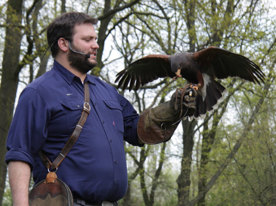 Thomas Wamser präsentiert die Greifvogel-Flugschauen im Zoo Magdeburg_Eventfalknerei GmbH Bomlitz