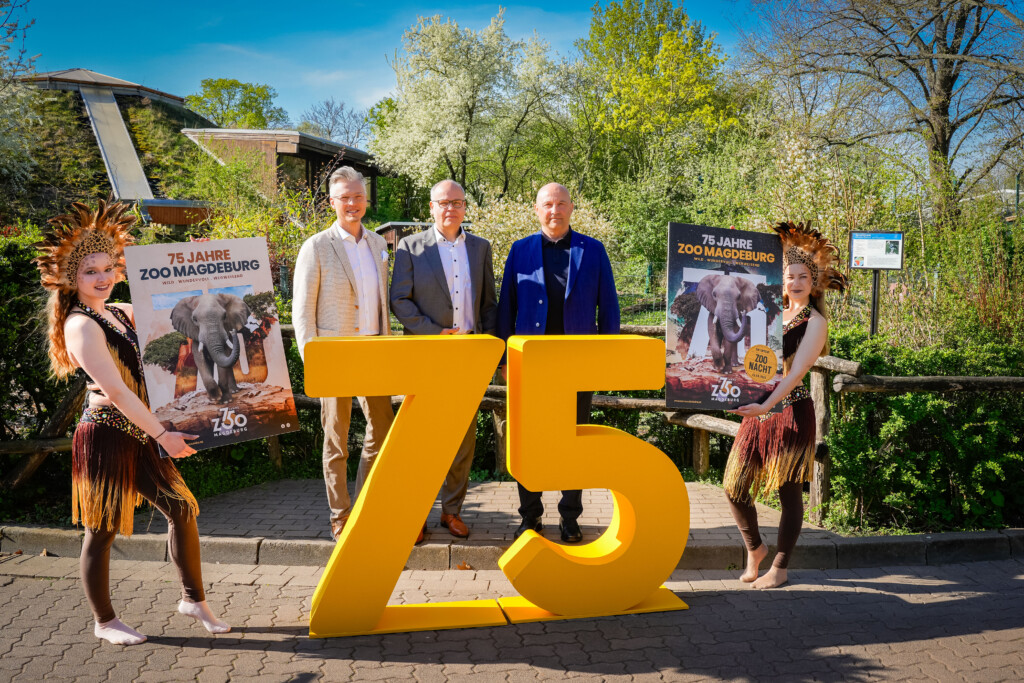 Pressekonferenz 75 Jahre Zoo Magdeburg
vlnr:Holger Salmen/Agentur First Contact, Dirk Wilke/Zoo-Geschäftsführer, Dr. Ingo Gottschalk/Zoo-Aufsichtsratsvorsitzender