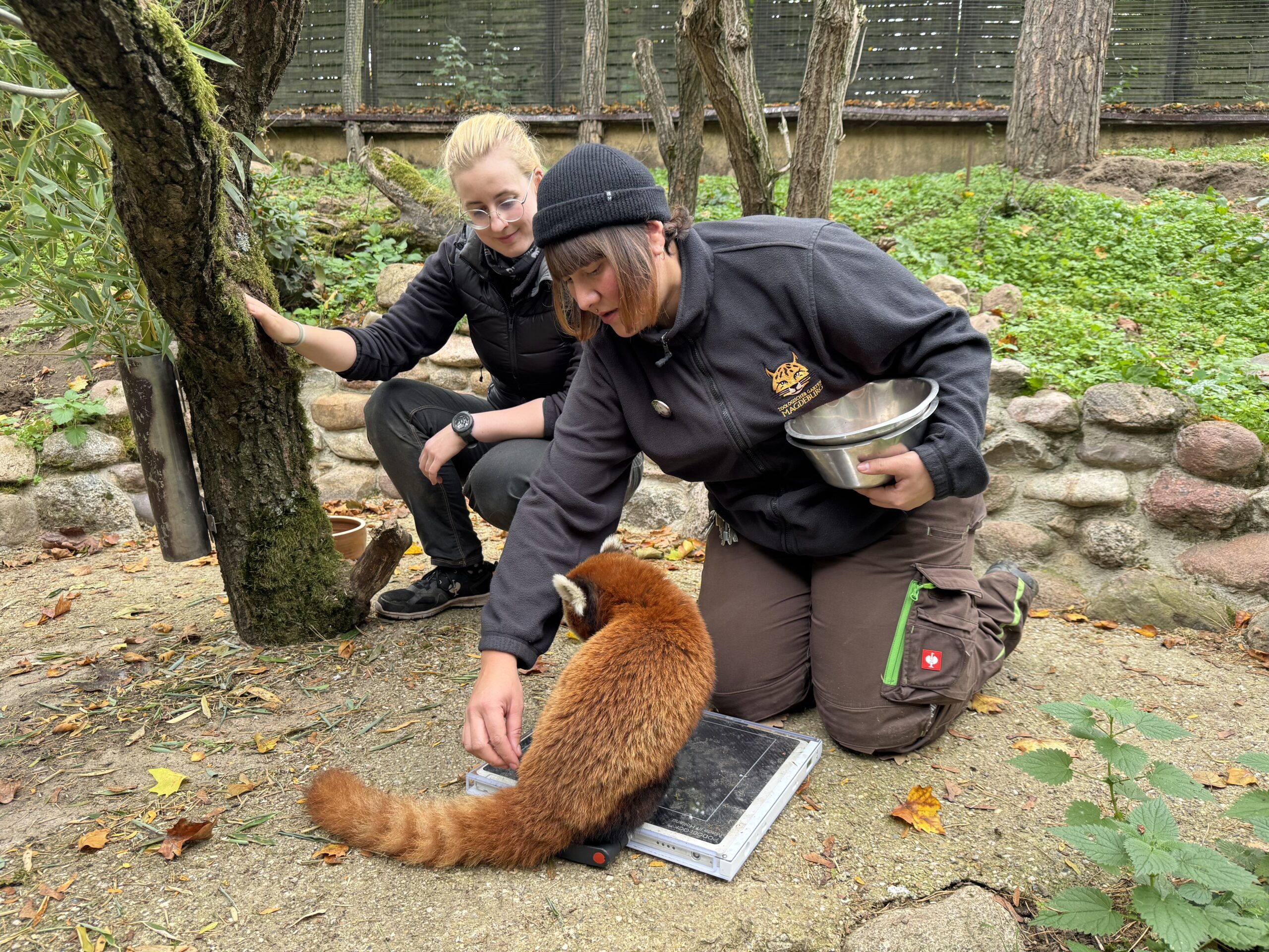 Finanzspritze für die Tiermedizin im Zoo Magdeburg