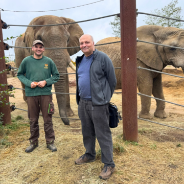 Prof. Dr. Michael Brecht und Elefantenpfleger Sebastian Christmann auf der Außenanlage der Elefanten.
