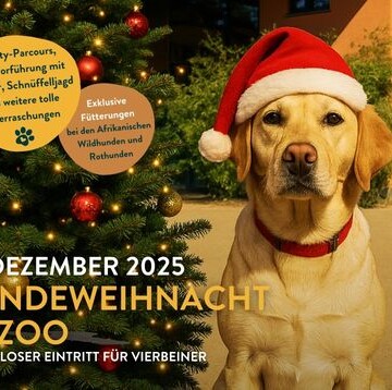 13.12.2025: Erste Hundeweihnacht im Zoo Magdeburg