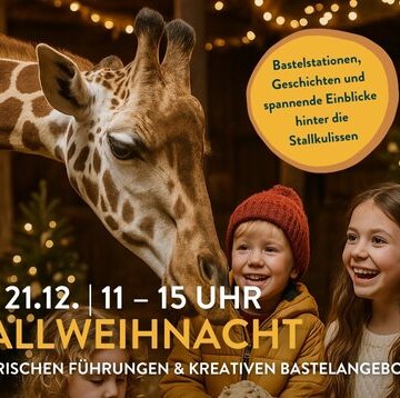 6.12.2025: Stallweihnacht im Zoo