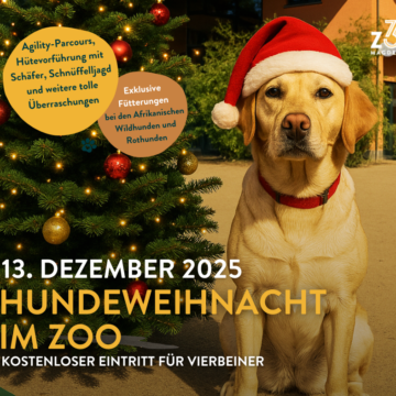 Hundeweihnacht im Zoo Magdeburg - Ein Fest für Zwei- und Vierbeiner!
