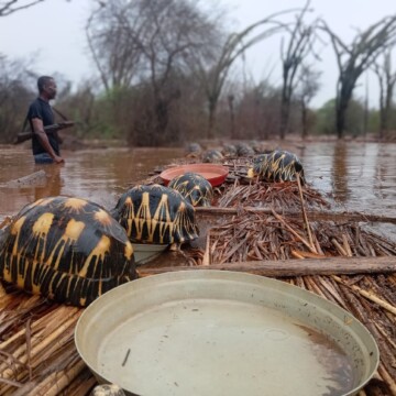 Vortrag am 2.12.2025 - Schutz bedrohter Arten in Afrika und Madagaskar