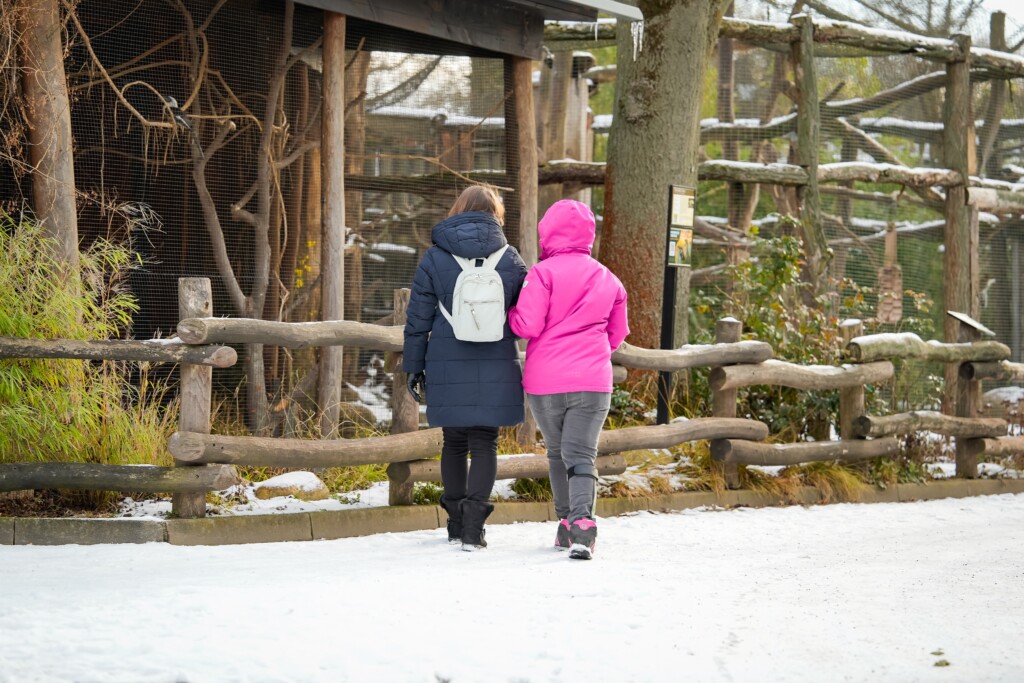 Zoo Magdeburg & Zoo Halle mit einer Jahreskarte besuchen_Zoo Magdeburg