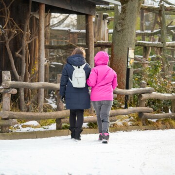 Eine Jahreskarte für zwei Zoos