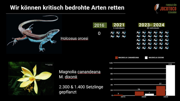 Aussterben verhindern_Fundación de Conservación Jocotoco