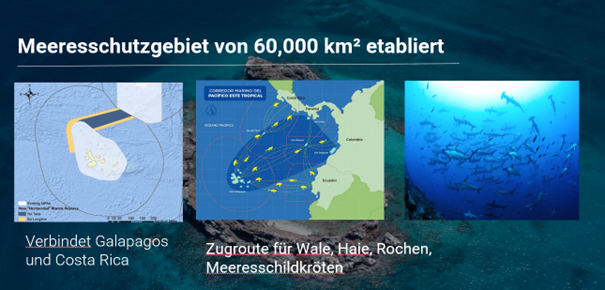 2.2.2026: Vortrag „Die Natur heilt sich selbst, wenn wir es zulassen“