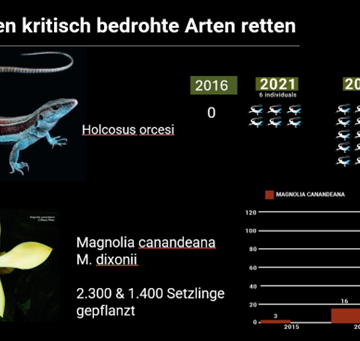 02.02.26: Vortrag - Die Natur heilt sich selbst, wenn wir es zulassen