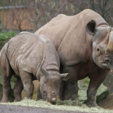 20 04 21 k malte maleika