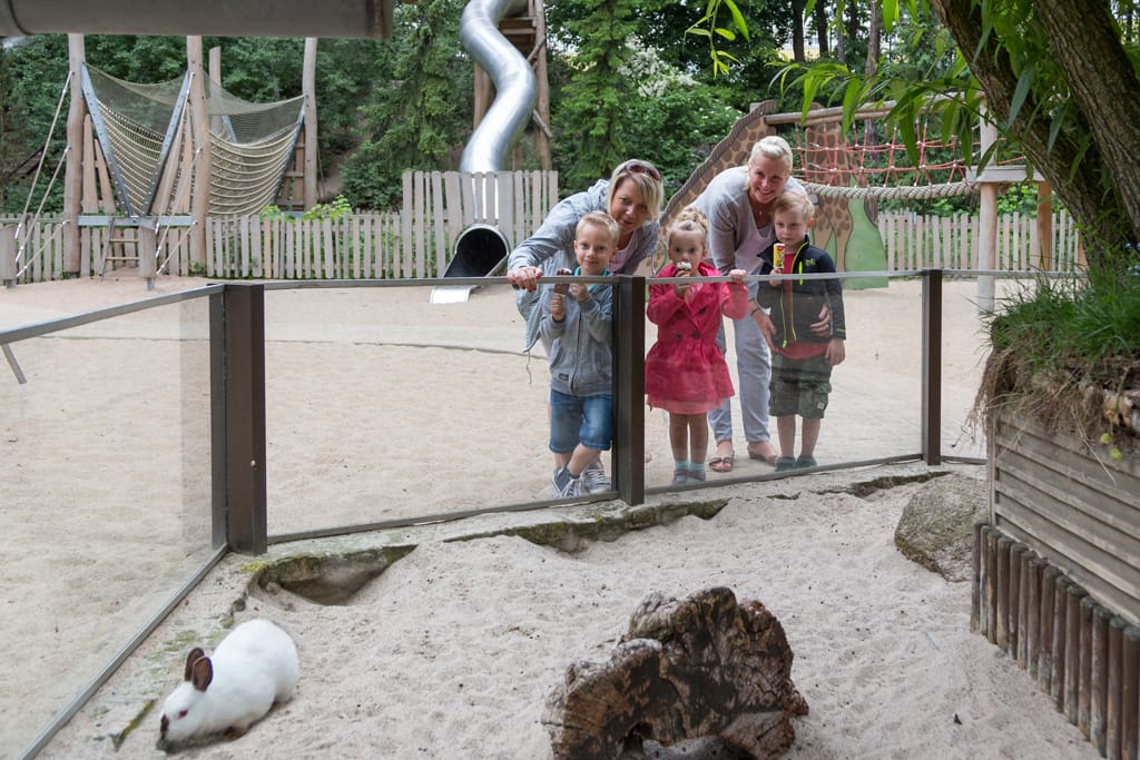 spielplatz kaninchen mit besucher