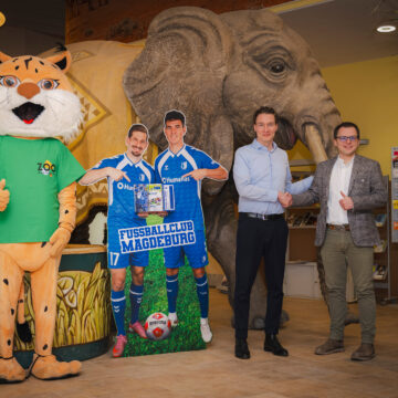 Zoodirektor David Pruß und Kaufmännischer Leiter des 1. FCM, Martin Geisthardt, stehen mit dem Zoo-Maskottchen vor einem Pappmaché-Elefanten und schließen per Handschlag eine Kooperation für 2026.