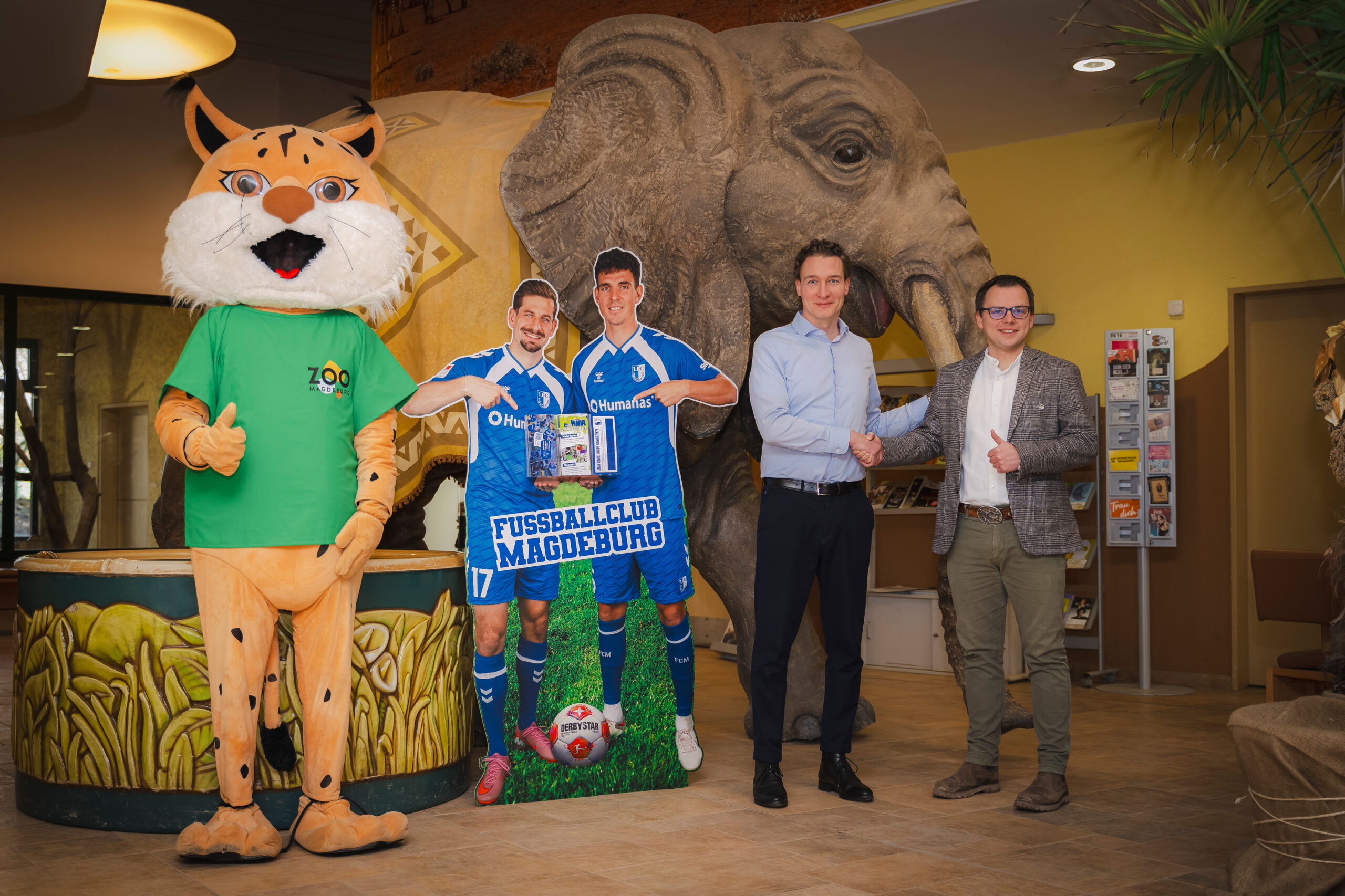 Zoodirektor David Pruß und Kaufmännischer Leiter des 1. FCM, Martin Geisthardt, stehen mit dem Zoo-Maskottchen vor einem Pappmaché-Elefanten und schließen per Handschlag eine Kooperation für 2026.