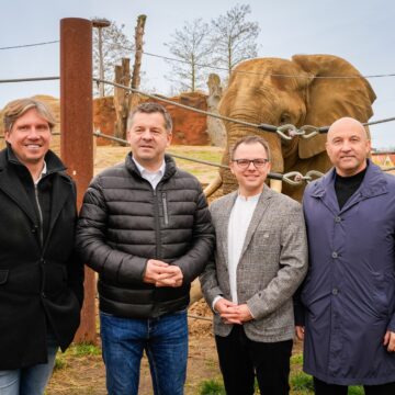 Vor der Elefantenanlage mit Elefant Kando im Hintergrund stehen zum Auftakt des 1. Landeszootages Sachsen-Anhalt der Chef des Tierparks Dessau/Jan Bauer, der Wirtschaftsminister Sachsen-Anhalts/Sven Schulze, der Chef des Zoo Magdeburg/David Pruß, der Aufsichtsratsvorsitzender des Zoo Magdeburg & Beigeordneter des Dezernats V der LHS MD/Dr. Ingo Gottschalk