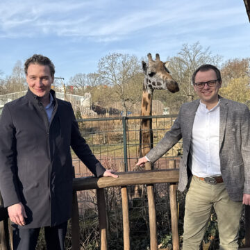 Martin Geisthardt/kaufmännischer Geschäftsführer 1. FCM, David Pruß Ph.D./Zoodirektor Magdeburg stehen an der Giraffenanlage. Zwischen den beiden Personen schaut eine Giraffe neugierig.