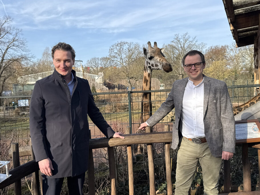 Martin Geisthardt/kaufmännischer Geschäftsführer 1. FCM, David Pruß Ph.D./Zoodirektor Magdeburg stehen an der Giraffenanlage. Zwischen den beiden Personen schaut eine Giraffe neugierig.