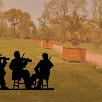 3 Musiker der Philharmonie spielen Klassik auf der großen Wiese im Zoo