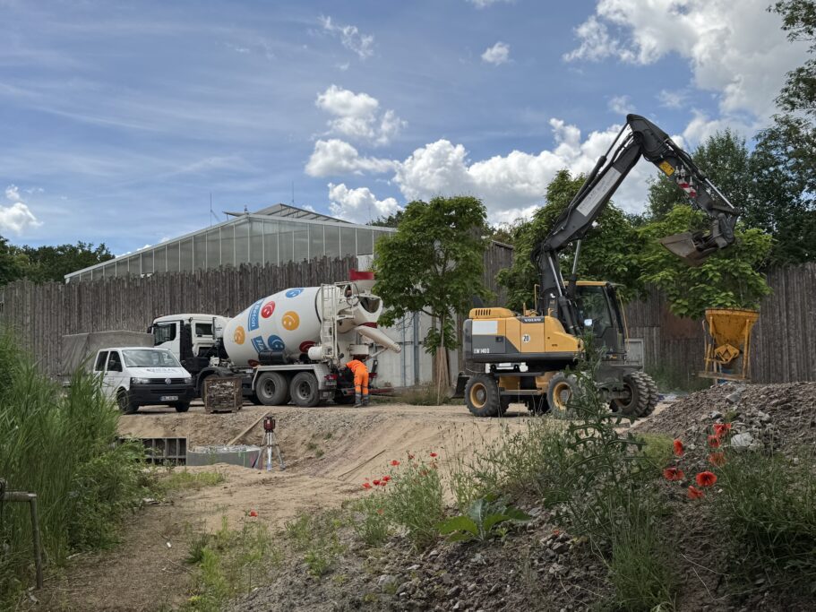 Baustelle zweite Schimpansen-Aussenanlage_Zoo Magdeburg Anna Gerbel